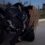 🏍 🖤