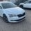 Skoda Octavia Год: 2016 ️ Пробег: 127000 км ️ Вид топлива: Дизель Коробка: Автомат…